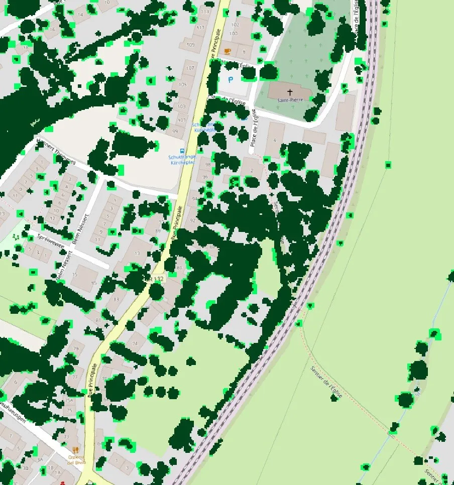 Mappa della crescita della chioma degli alberi in un quartiere